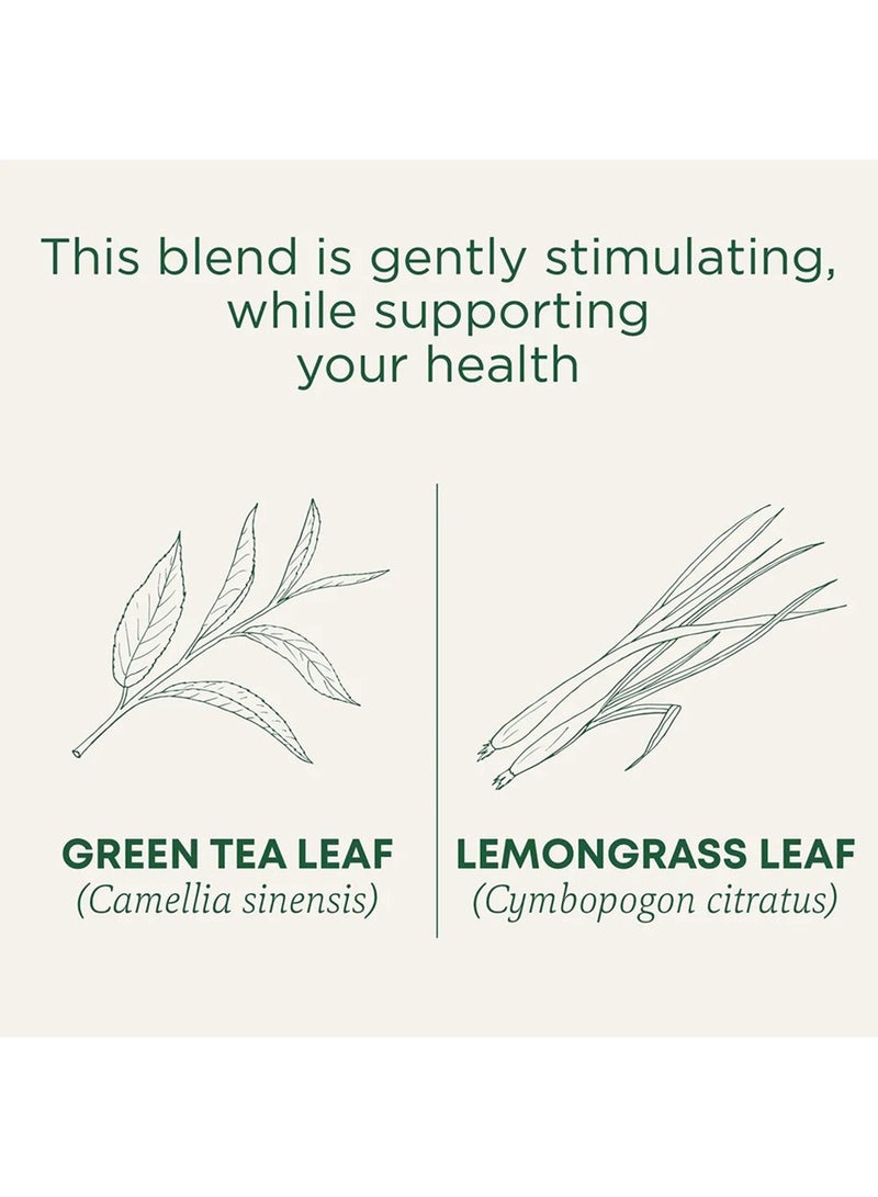 Traditional Medicinals Organic Green Tea, Infused with Lemongrass, Caffeine Free, 16 tea bags - Image 2
